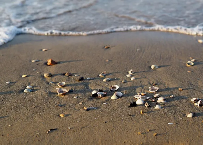 Spacious Flat With A Bright Terrace Apartment *