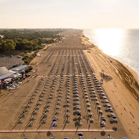 Spacious Flat With A Bright Terrace Daire *