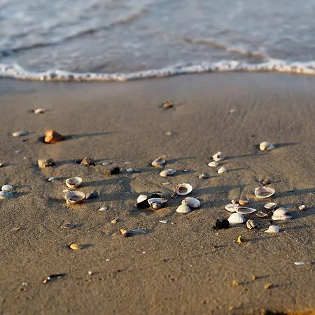 Spacious Flat With A Bright Terrace Lägenhet *